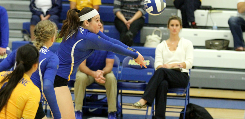 Volleyball